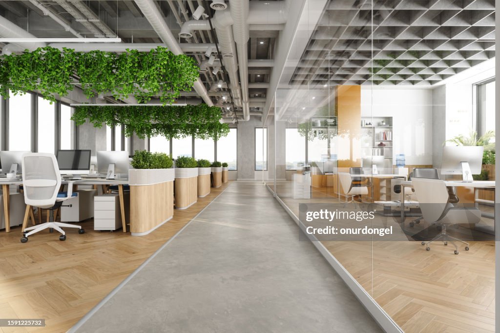 Modern Open Plan Office Space With Tables, Office Chairs, Creeper Plants And Manager Room