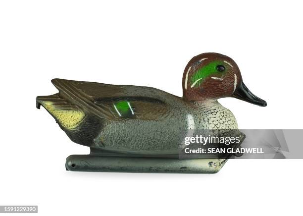 hunting decoy duck - richiamo foto e immagini stock