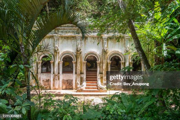 an old buildings in the jungle situated in wat pha lat temple in chiang mai province of thailand. this temple was constructed during the reign of king kuena (1355-1385). - província de chiang mai - fotografias e filmes do acervo