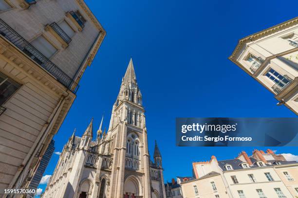 view of basilique saint-nicolas in nantes, france - nantes stock pictures, royalty-free photos & images