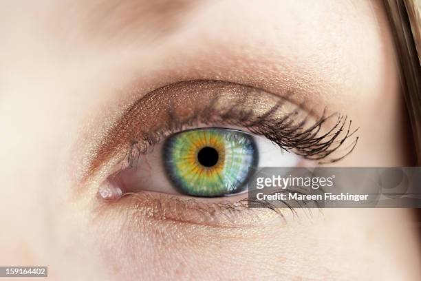 macro shot of a felmale eye with green iris - iris œil photos et images de collection