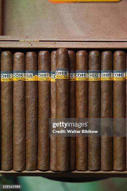 cuban cigars - cigar ストックフォトと画像