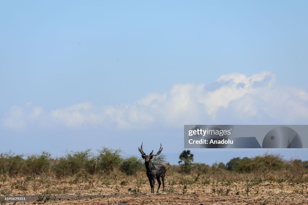 Baluran National Park in Indonesia