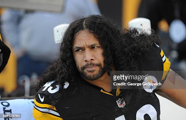 Safety Troy Polamalu of the Pittsburgh Steelers looks on from the sideline during a game against the Cincinnati Bengals at Heinz Field on December...