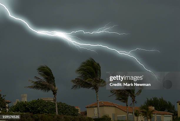 palm trees and lightning - hurricane stock-fotos und bilder