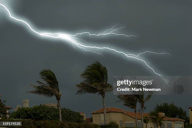 palm trees and lightning - cyclone stock pictures, royalty-free photos & images