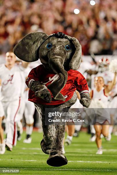 The Alabama Crimson Tide mascot runs on the field during the 2013 Discover BCS National Championship game at Sun Life Stadium on January 7, 2013 in...