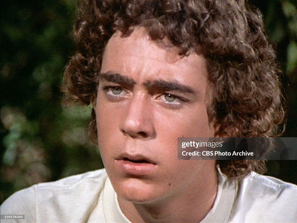 Greg Brady Bunch