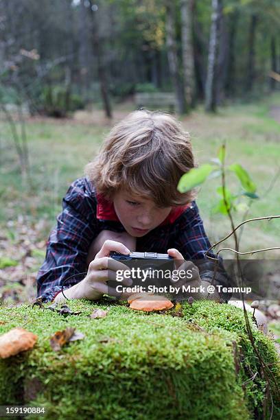 taking pictures in the woods - boy taking picture in forest stock pictures, royalty-free photos & images