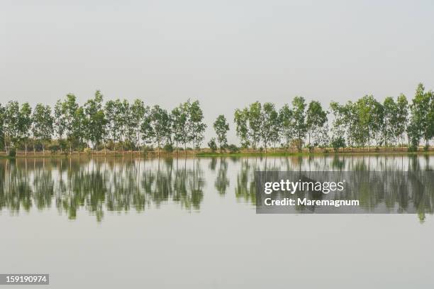 navigation along niger river - niger river stock-fotos und bilder