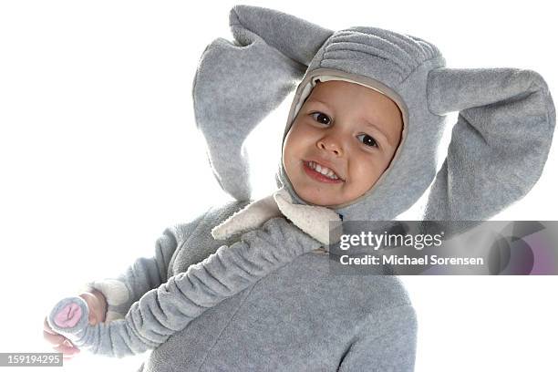 baby elephant - michael virtue stock pictures, royalty-free photos & images