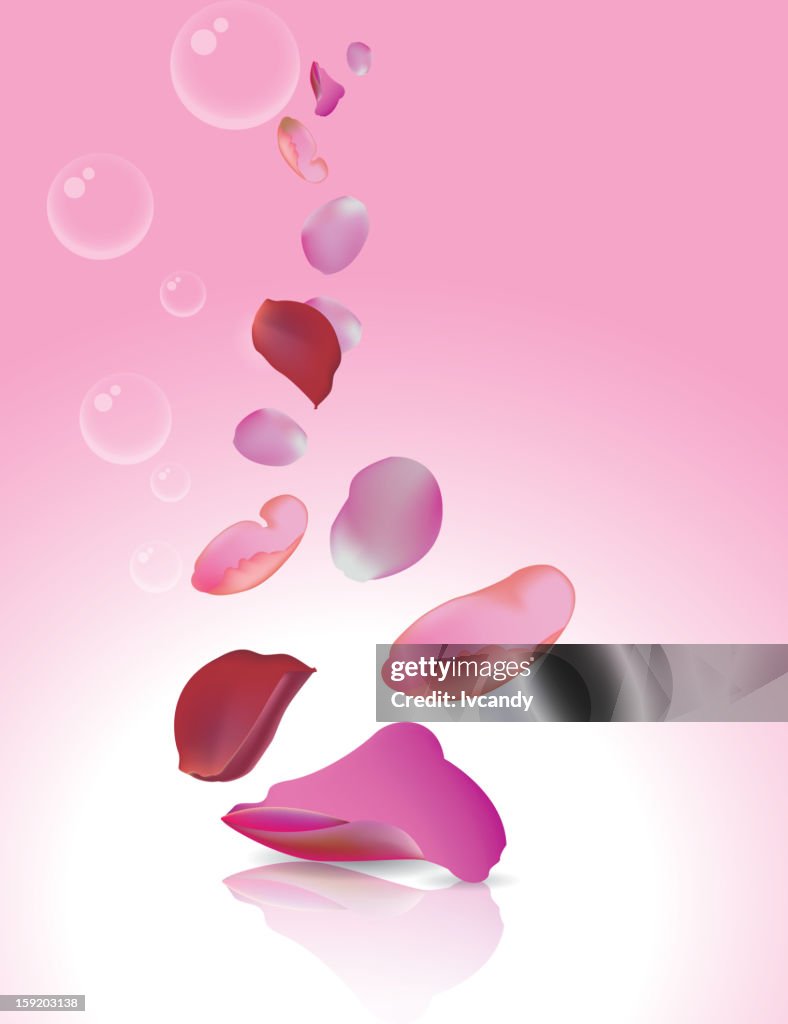 Rose petals