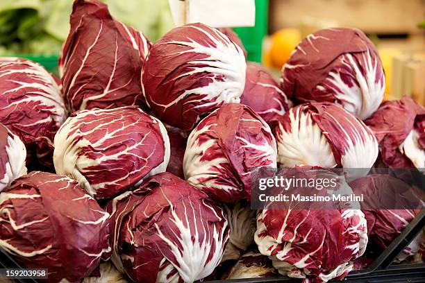 radicchio - radicchio stock pictures, royalty-free photos & images