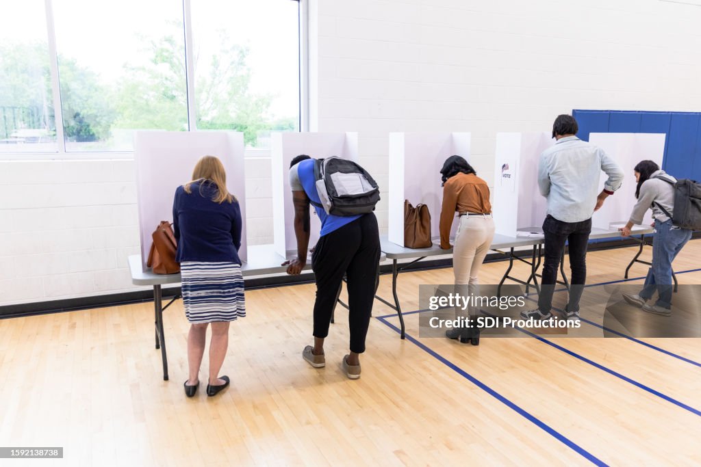 Rear view diverse people voting in private booths