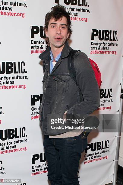 Actor Hamish Linklater attends the Under The Radar Festival 2013 Opening Night Celebration at The Public Theater on January 9, 2013 in New York City.