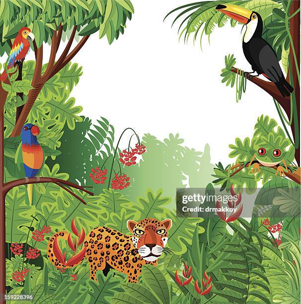 tropical forest - peruvian amazon stock illustrations