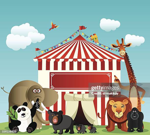 circus and animals - cute giraffe vector stock illustrations