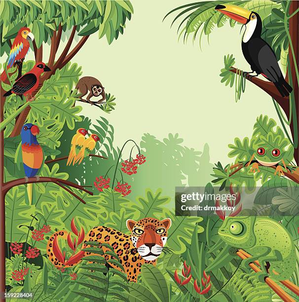 illustrations, cliparts, dessins animés et icônes de forêt tropicale humide - thème des animaux