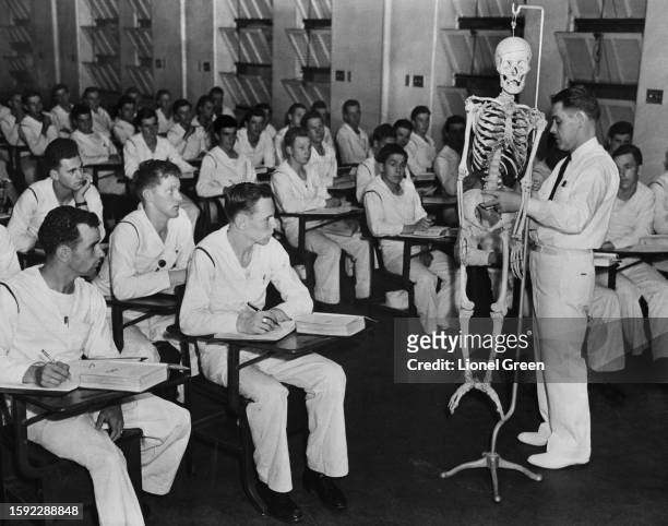 Man standing with a model of a human skeleton during a United States Navy anatomy class, United States, circa 1955.