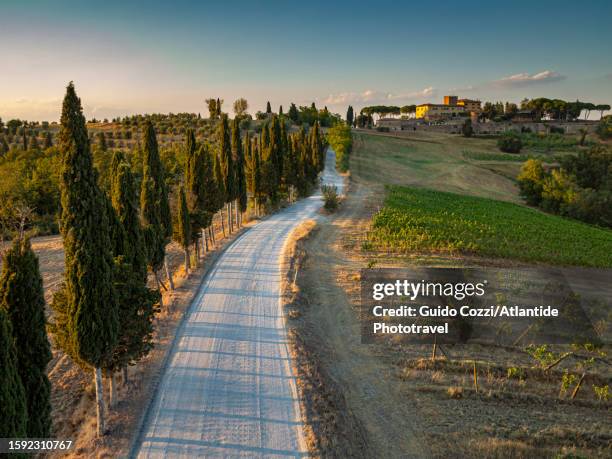 tuscany, country road in valdelsa - san gimignano stock pictures, royalty-free photos & images