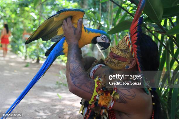 indigenous festival in the south of bahia - brazil body paint stock pictures, royalty-free photos & images