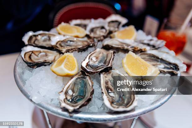 oysters plate served in a luxury restaurant, paris, france - bivalvo fotografías e imágenes de stock