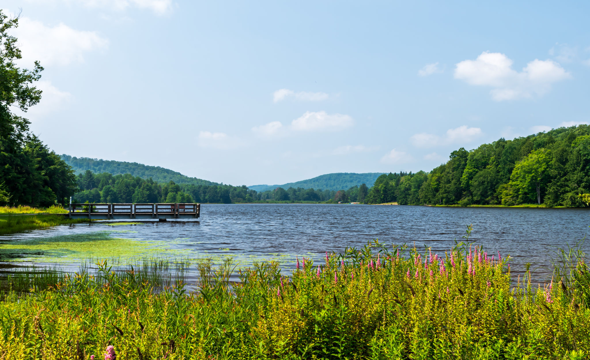 clarendon landscape