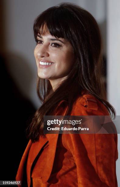 Actress Penelope Cruz attends 'Venuto al mondo' photocall at Santo Mauro hotel on January 10, 2013 in Madrid, Spain.