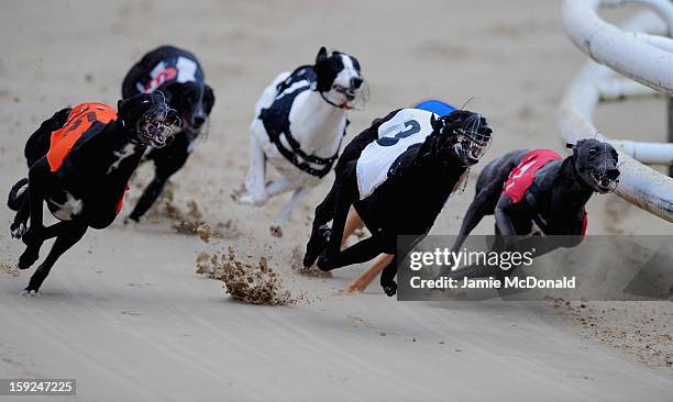 Glowing Cnoc wins Race 4 at Romford Greyhound Stadium on January 10, 2013 in Romford, England.