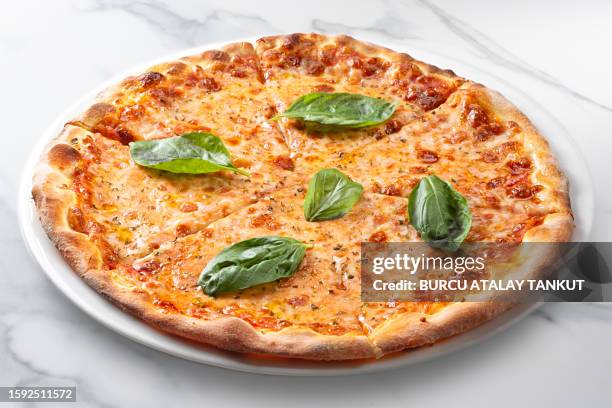 pizza margherita - cheese pizza stock pictures, royalty-free photos & images