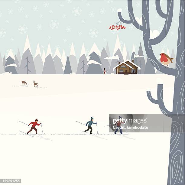stockillustraties, clipart, cartoons en iconen met cross-country skiing - ski