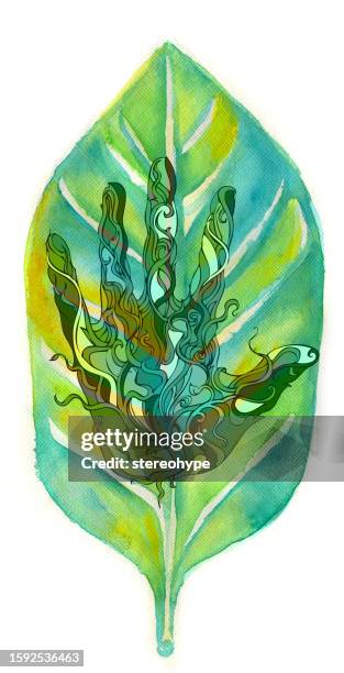 natural rights - third world poverty stock illustrations