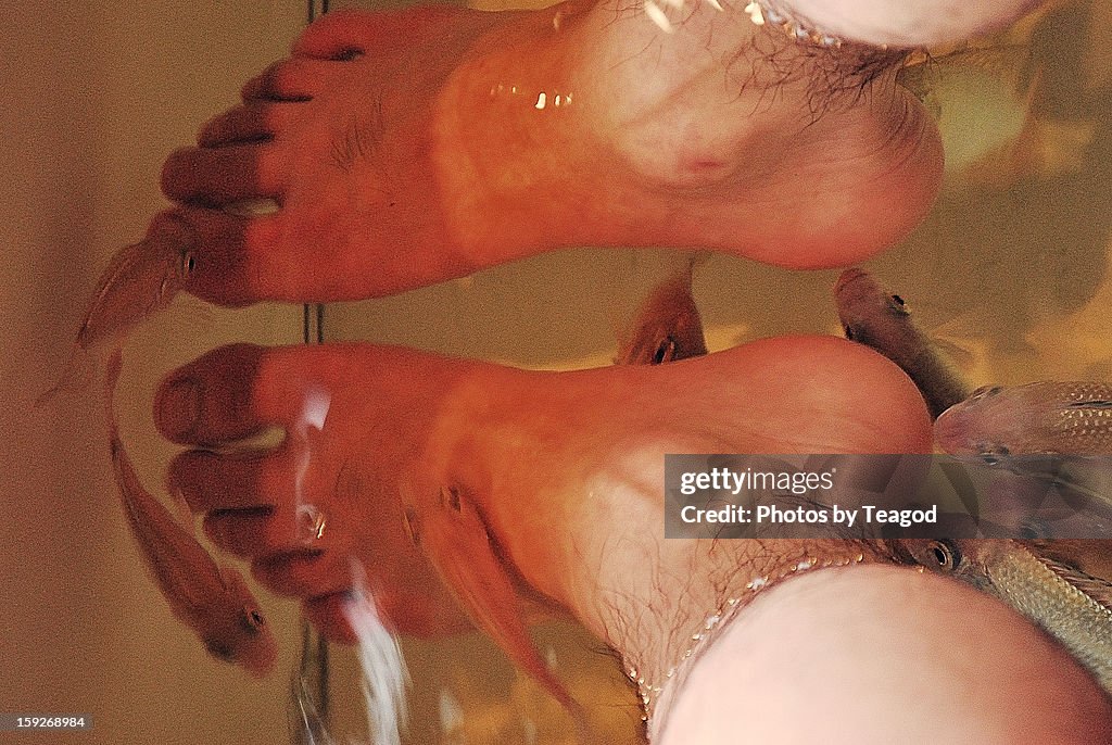 Doctor Fish Pedicure