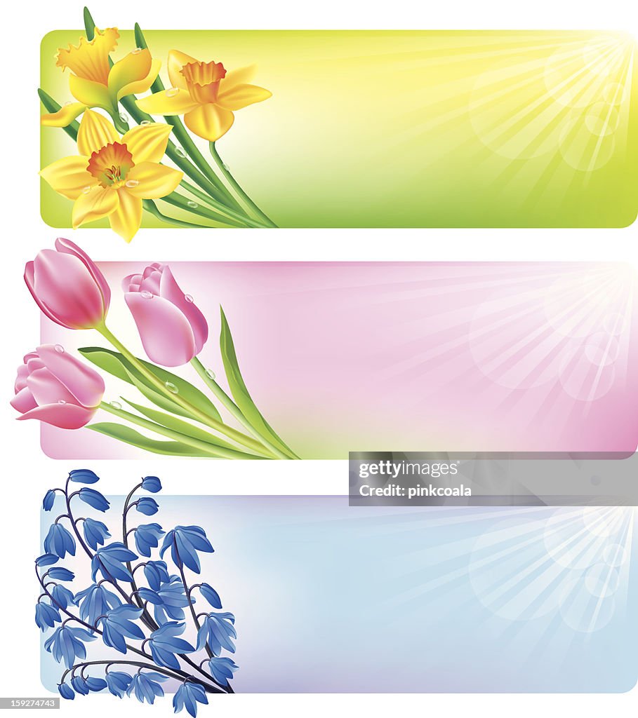 Horizontal Spring Banners Of Flowers High-Res Vector Graphic - Getty Images