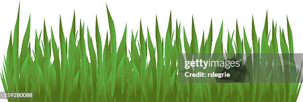grass detail - sod field stock illustrations