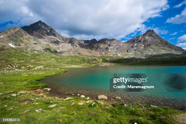 national park of the stelvio, the white lake - ponte di legno stock pictures, royalty-free photos & images