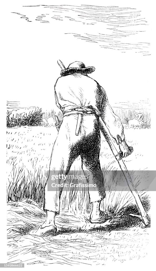 Farmer cutting wheat with rake crayon drawing from Millet