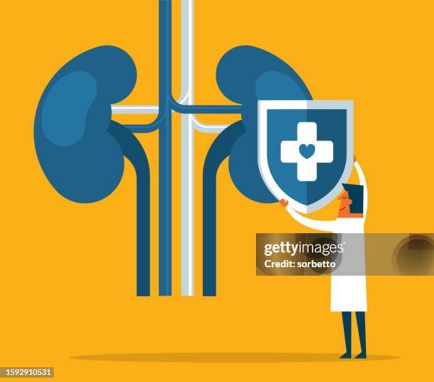 stockillustraties, clipart, cartoons en iconen met kidney organ protection - nierbekkenontsteking