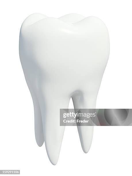 human tooth - menselijk gebit stockfoto's en -beelden