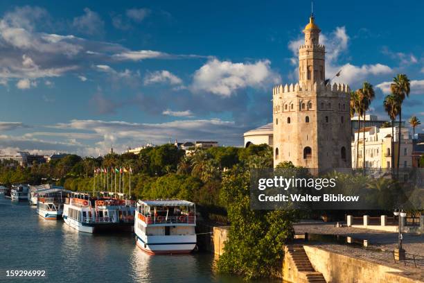 spain, andalucia region, seville province - sevilla province foto e immagini stock