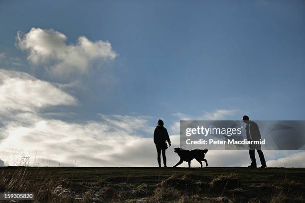Couple walk their dog on Box Hill on January 11, 2013 near Dorking, England. After a mild spell the United Kingdom is getting ready for a cold snap...