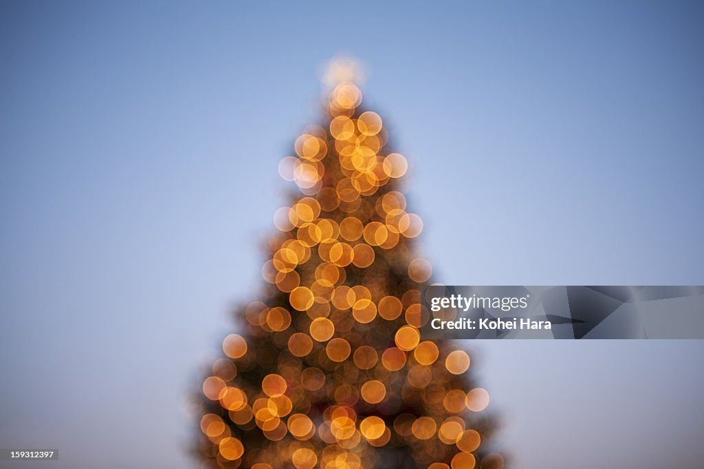 A silhouette of Christmas tree