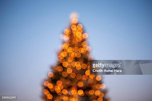 a silhouette of christmas tree - christmas tree outside stock pictures, royalty-free photos & images