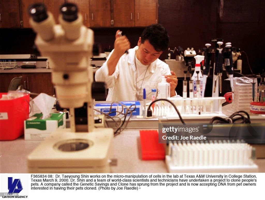 Cloning Project Dr. Taeyoung Shin works on the micro-manipulation of cells in the lab ...