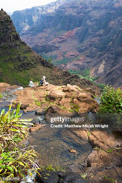 people looking out over cliffs - waimea canyon state park stock pictures, royalty-free photos & images