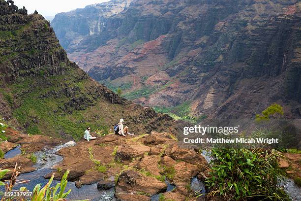 people looking out over cliffs - waimea canyon state park stock pictures, royalty-free photos & images