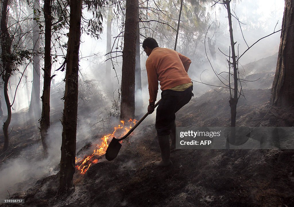 COLOMBIA-FIRE-FOREST