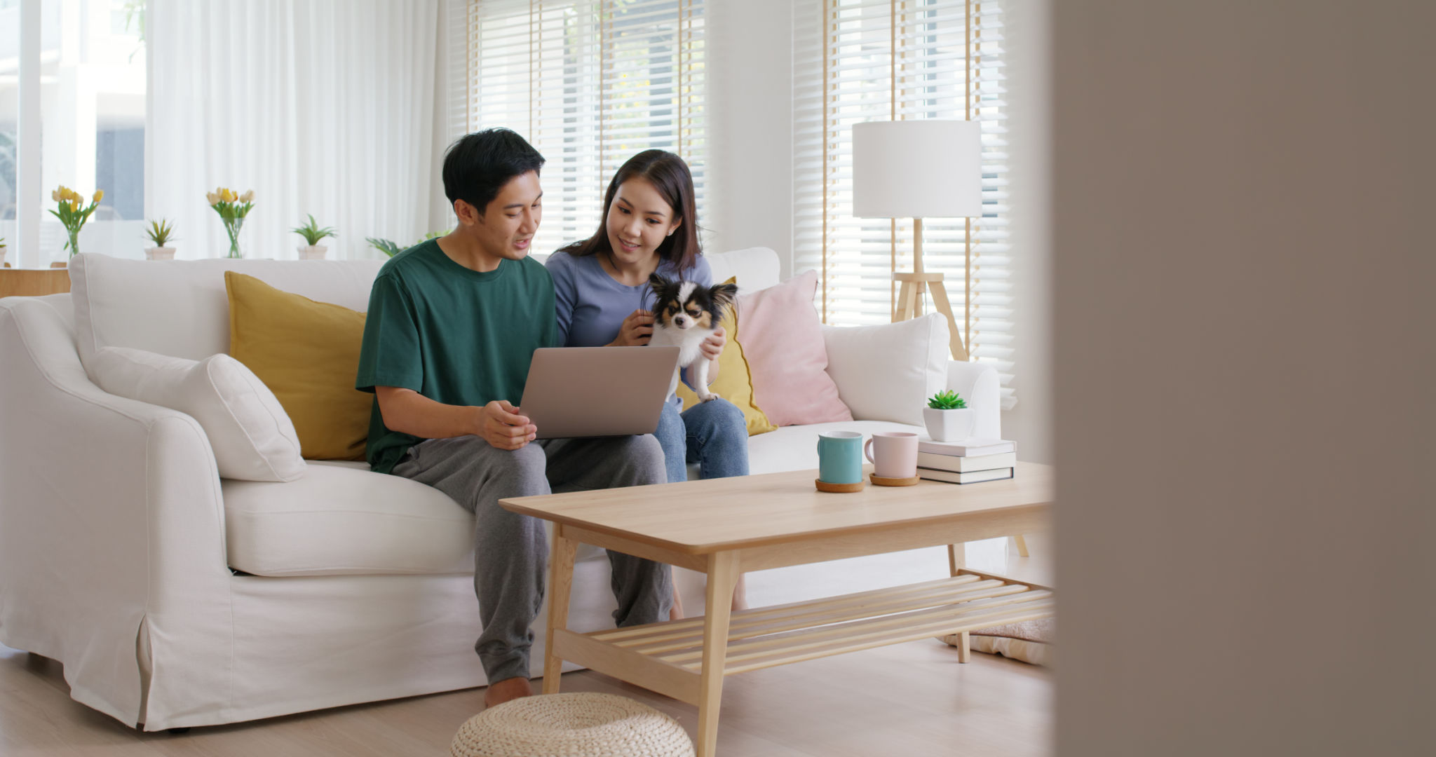 pet owner decision