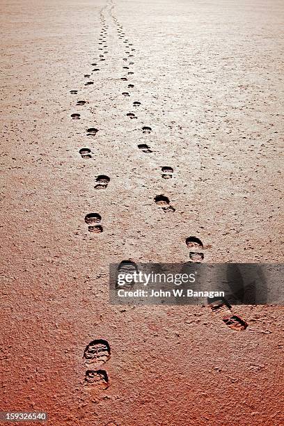 footsteps across a salt lake - mud footprint stock pictures, royalty-free photos & images