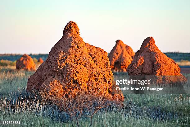 termite mounds, western australia - onslow western australia stock pictures, royalty-free photos & images